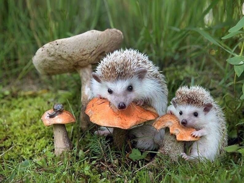 Все будет. Не надо спешить.
Всему свое время.