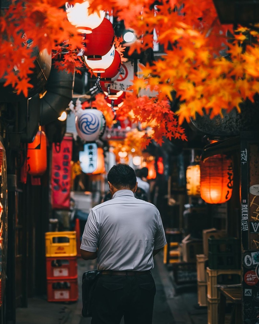 Классика осенней Японии