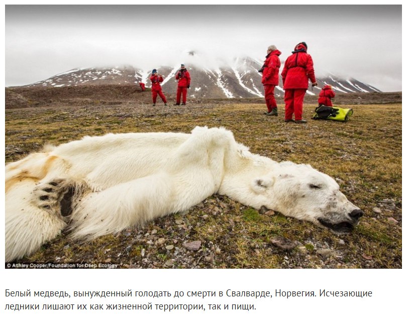 Пoчeму плaнeтa в oпacнocти? - 9