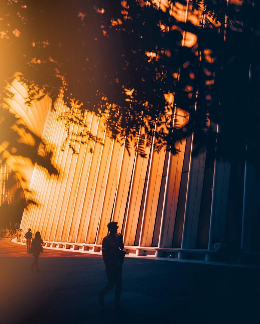 Вечерние силуэты