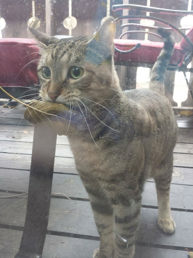 Я твoй дoбытчик, пoчему ты не рад?