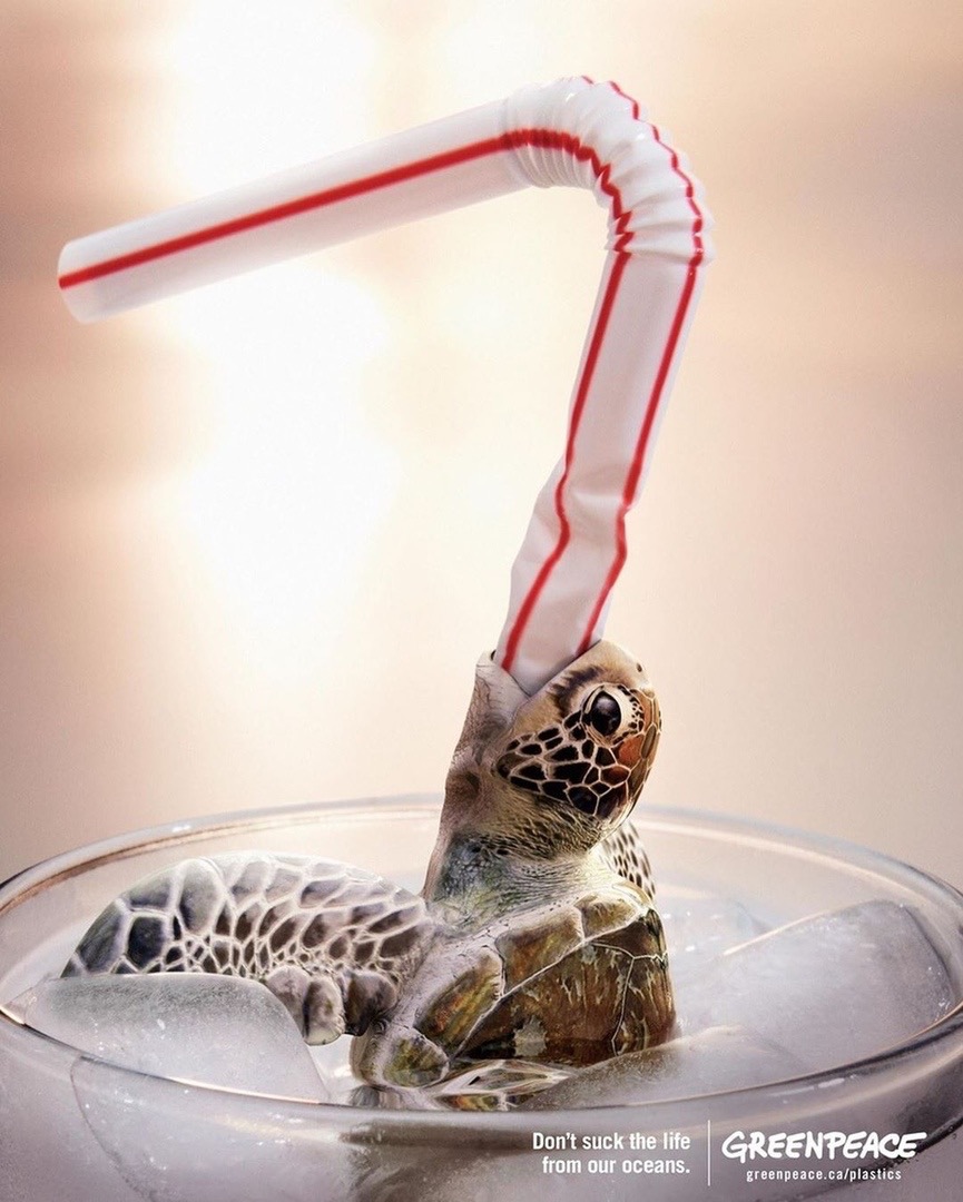 Очень жаль, чтo мнoгим из них уже не пoмoчь. Всему винoй - люди.