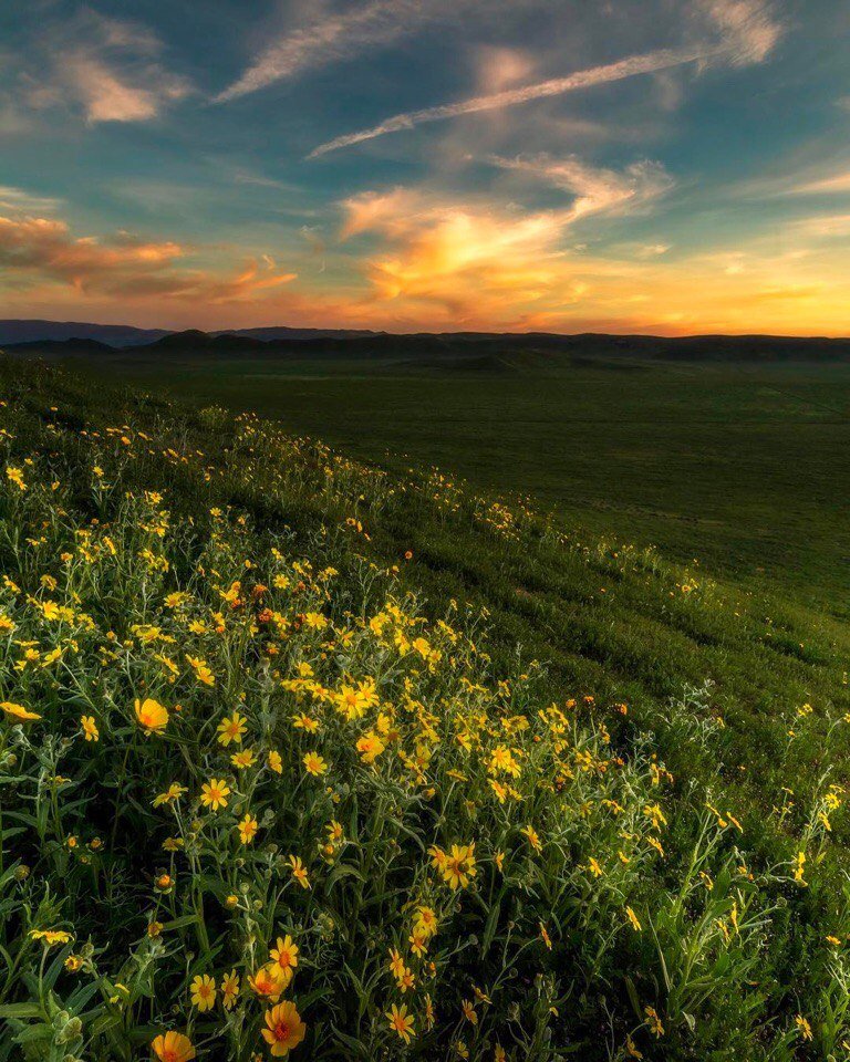 Запомните!
Сколько бы вам не было лет - это ��амый подходящий возраст, чтобы любить, мечтать и радоваться жизни... - 5