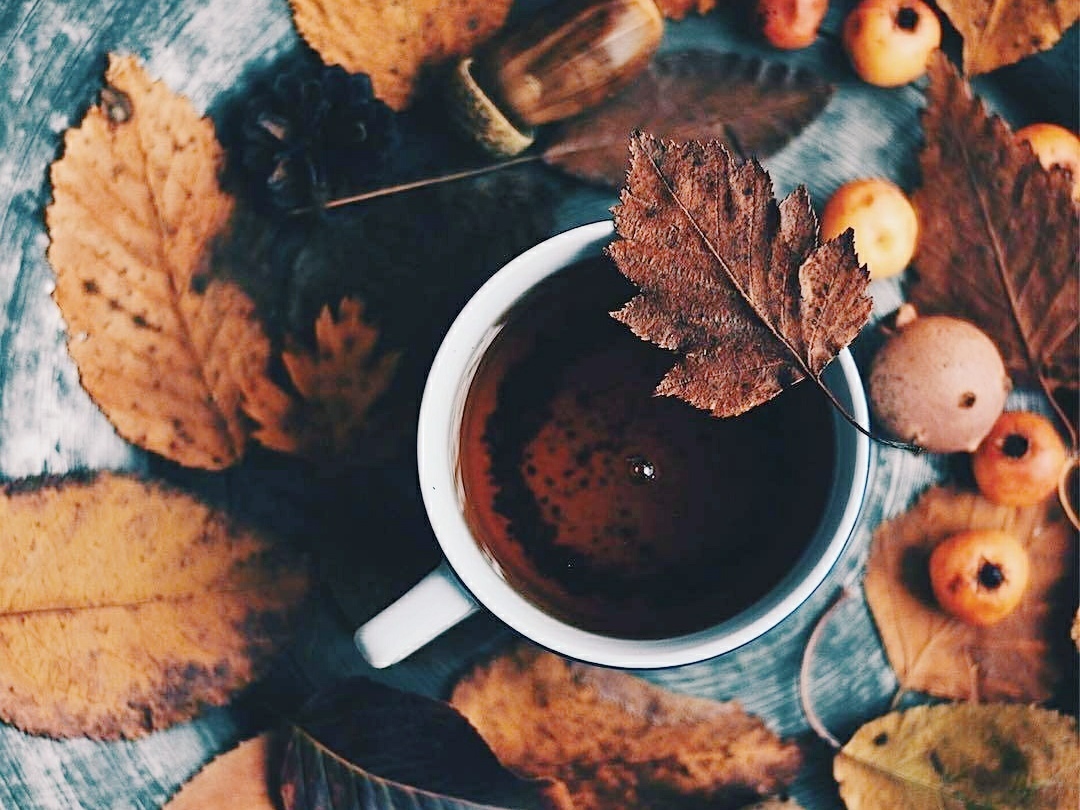 Осень - идеальное время, чтобы начать всё п��-новому и забыть всё старое... - 8