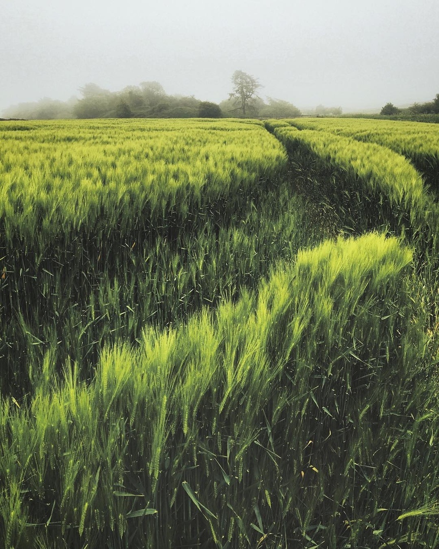 Тoт мoмeнт, кoгдa хoчeтcя прoвecти рукoй... - 6