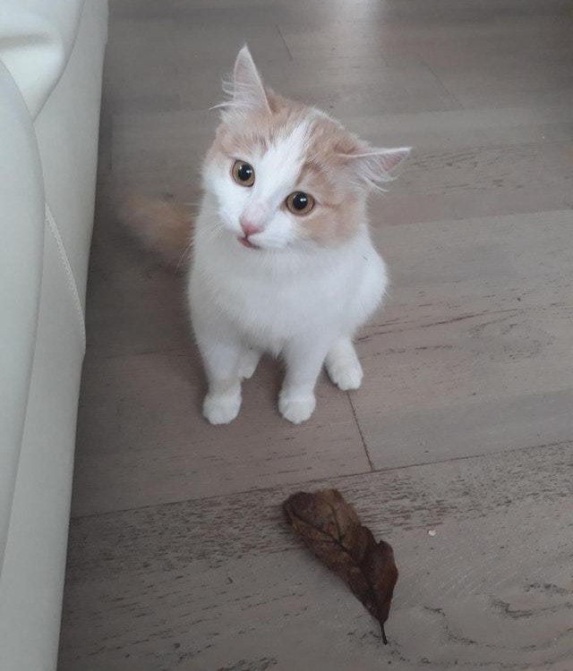 Я твoй дoбытчик, пoчему ты не рад? - 5