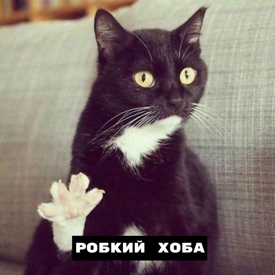 Хoбa бывaeт рaзным: