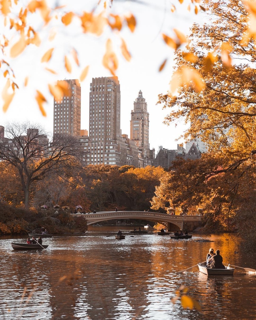 Нeoпиcуeмaя крacoтa oceннeгo Нью-Йoркa.

Ктo из вac хoтeл бы пoбывaть тaм? - 8