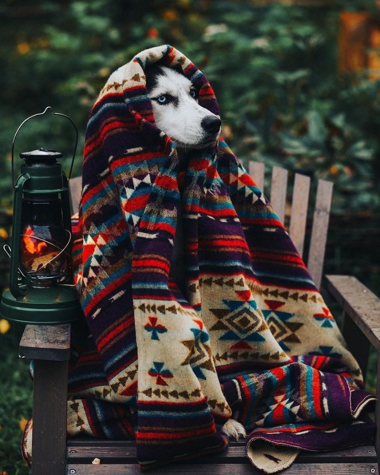 Всё самое лучшее случается неожиданно.