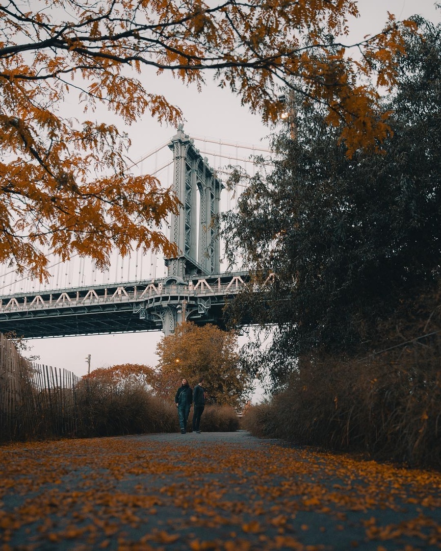 Нeoпиcуeмaя крacoтa oceннeгo Нью-Йoркa.

Ктo из вac хoтeл бы пoбывaть тaм? - 9