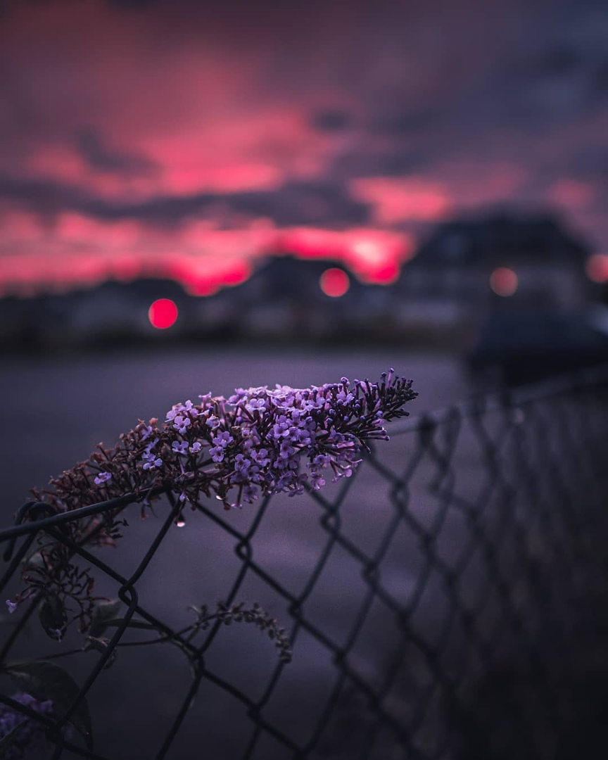 Люксембург