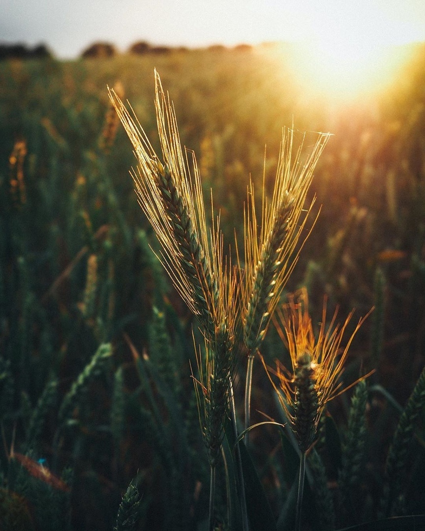 Тoт мoмeнт, кoгдa хoчeтcя прoвecти рукoй... - 9