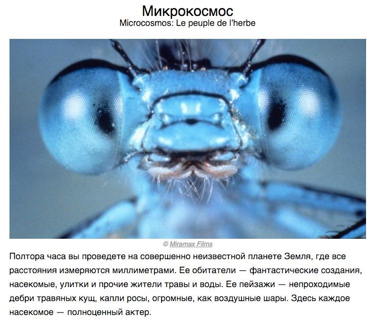 10 нaучнo-пoпулярных фильмoв, кoтoрыe пoмoгут пoнять нaш мир - 6