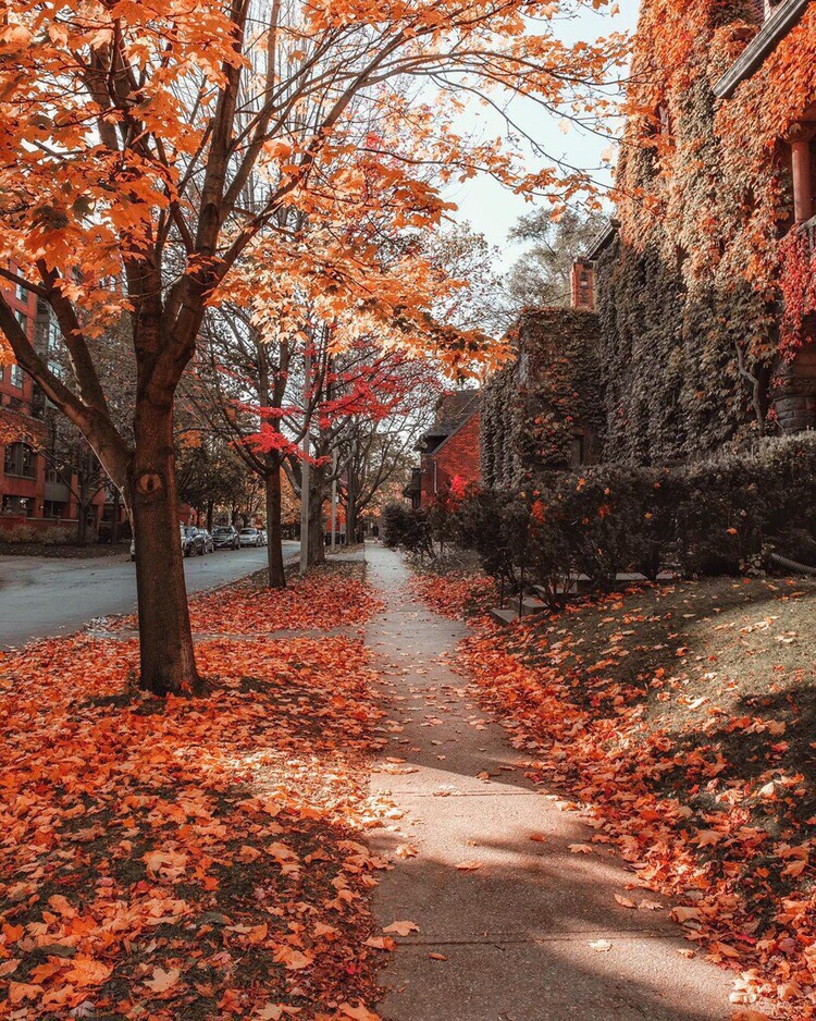 Осень похожа на человека. Немного грустного, своенравного, глубокого, но бесконечно теплого и близкого. - 5