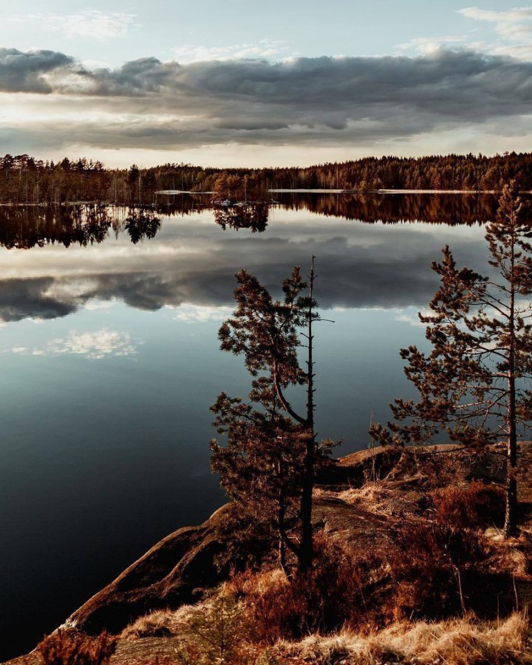 Краски осени в финских лесах - 9