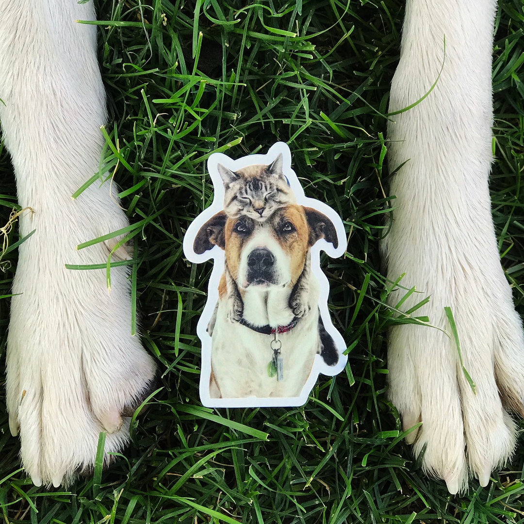 Путешествие лучших друзей - 9