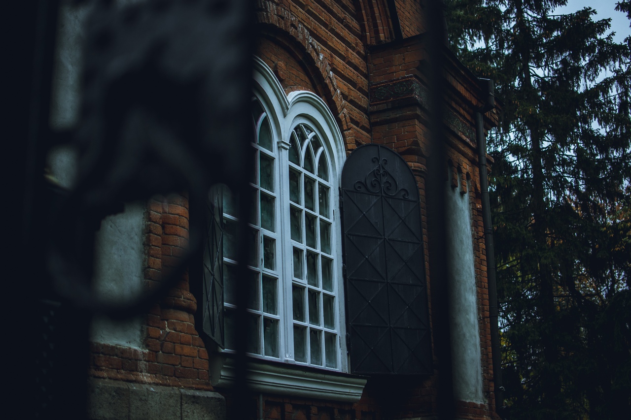 Екатеринбург, Дендрологический парк и хмурая осень. - 6