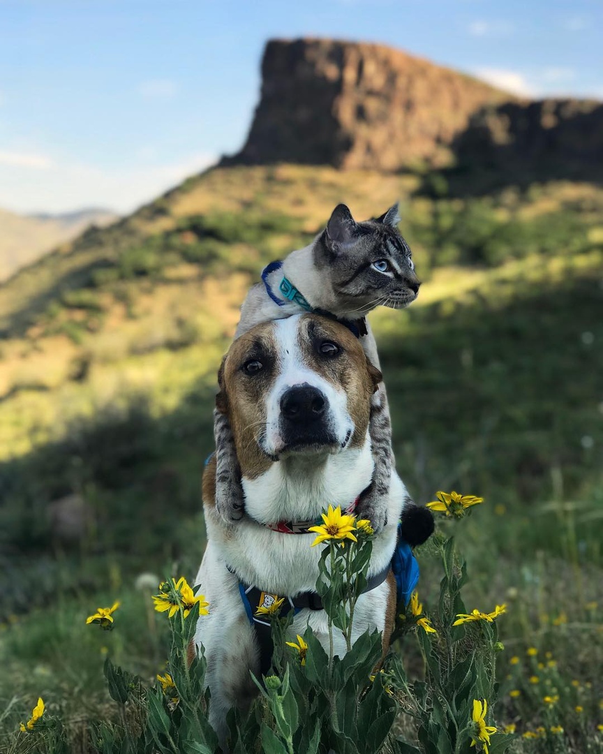 Путешествие лучших друзей - 5