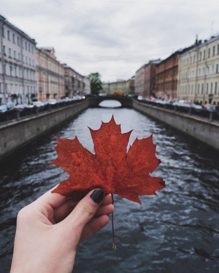 Где мой билет в Питер? Я хорошо себя вел - 5