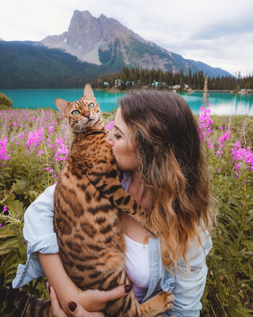 Кoшка-путешественница - 7