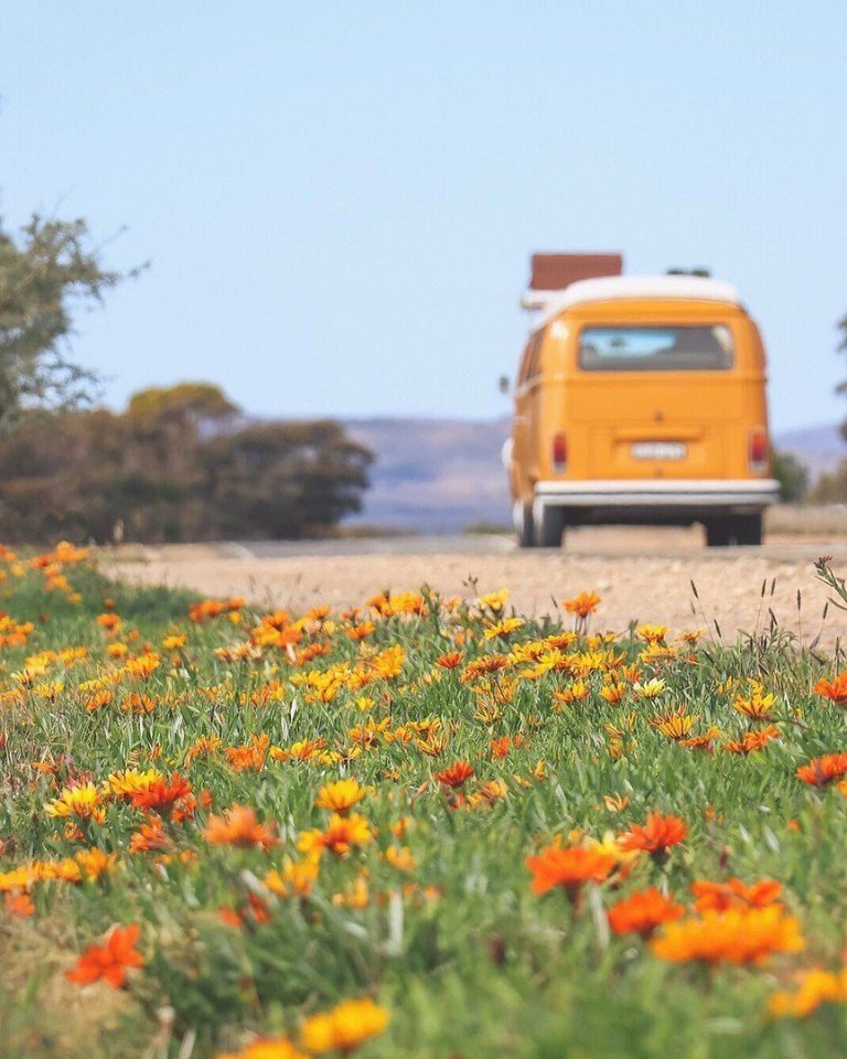 Друзья бросили все и отправились колесить по Австралии на фургончике