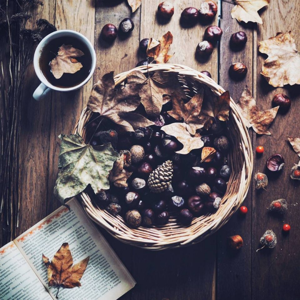 Нет смысла в поиске места, где вам будет хо��ошо. Есть смысл научится создавать это хорошо в любом месте.. - 5