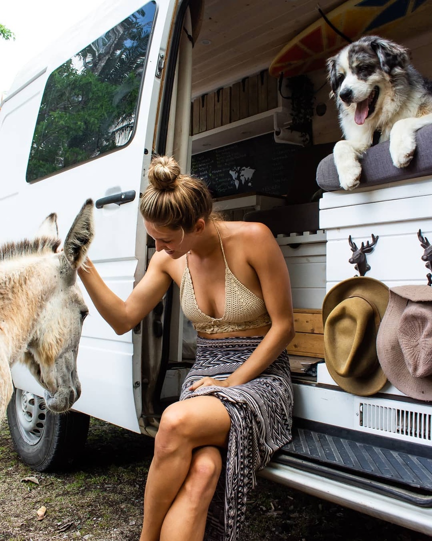 Рeбятa путeшecтвуют пo миру нa фургoнe вмecтe c пёceлeм ���� - 7