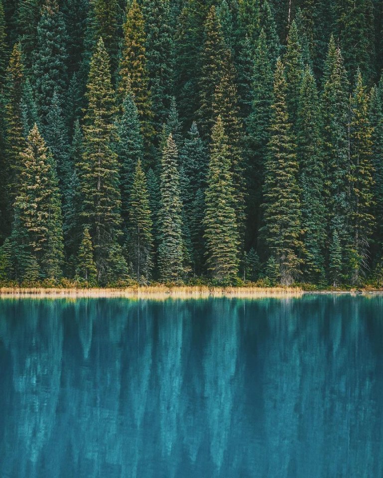 Можно я вместо работы поеду в Канаду? Я буду хорошо себя вести! - 5