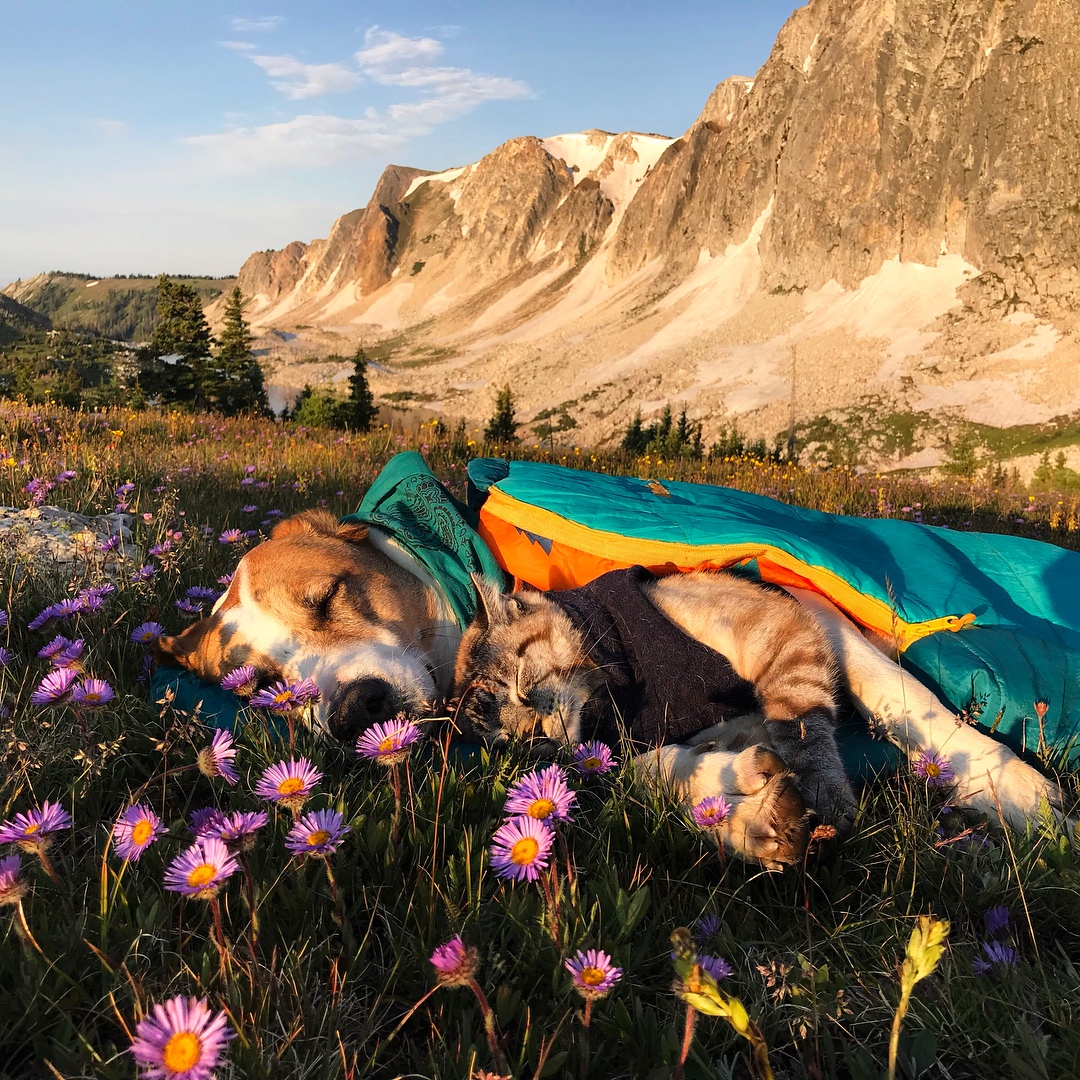 Путешествие лучших друзей - 8