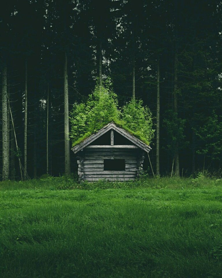 Уединение Исландии