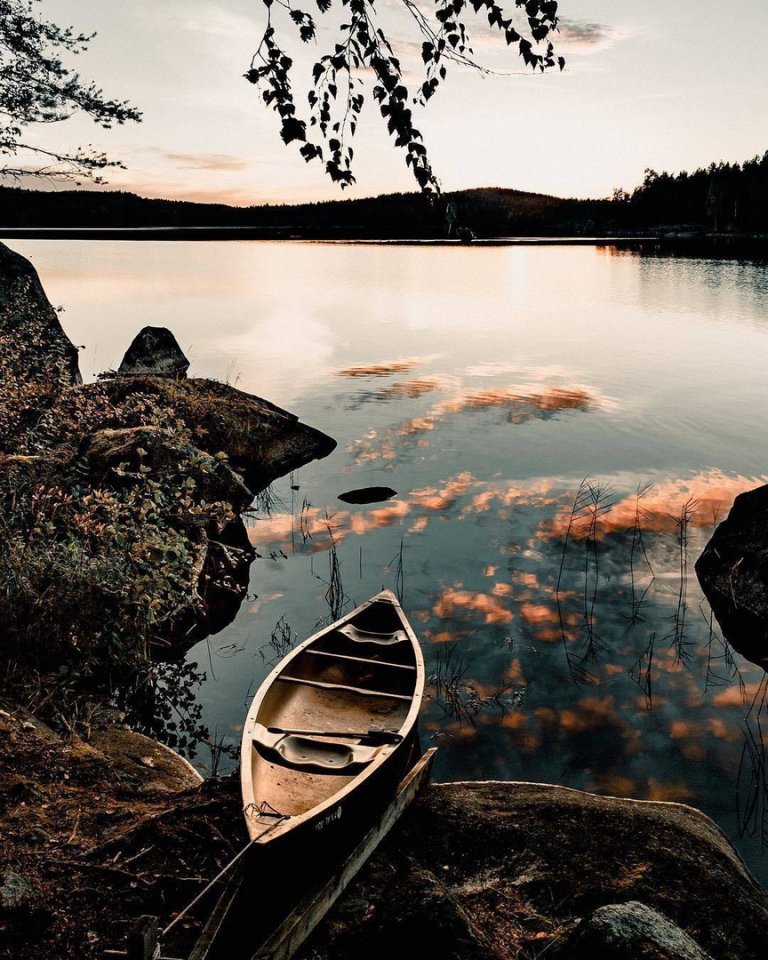 Краски осени в финских лесах - 7