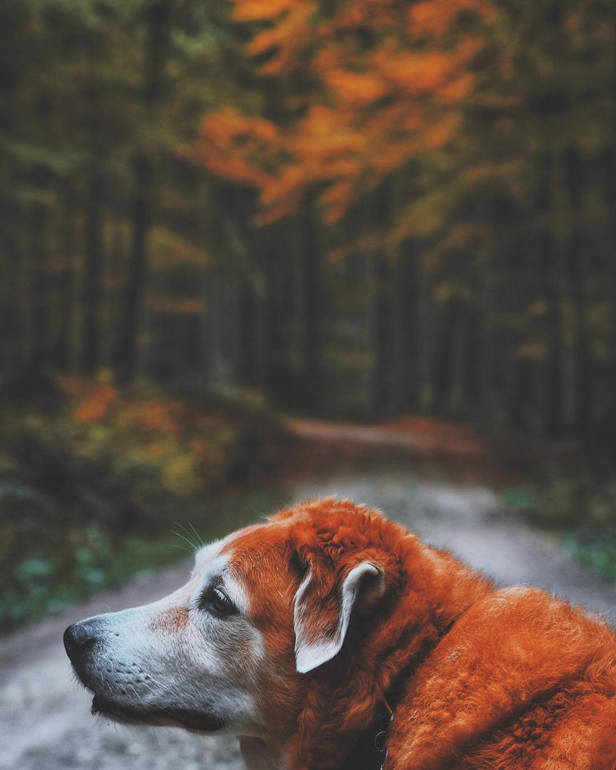 Туда, где нет городской суеты.