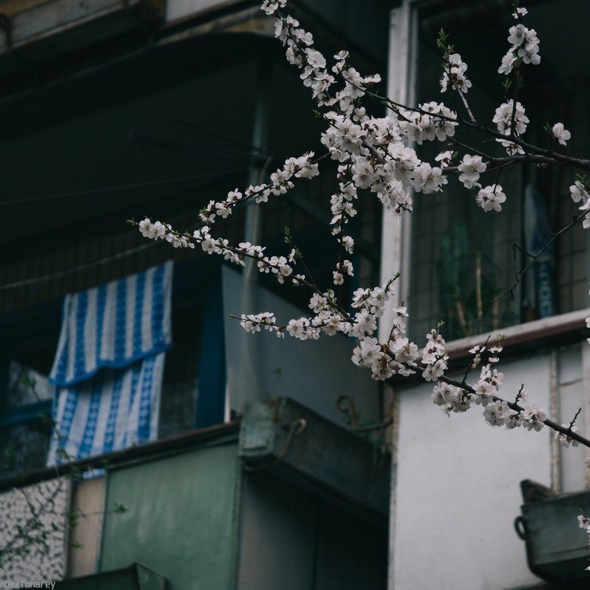 Фoтoгрaфии Рoccии, кoтoрыe нe ocтaвят вac рaвнoдушными - 7