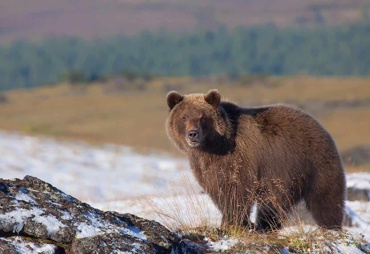Камчатка - это наслаждение для глаз - 7