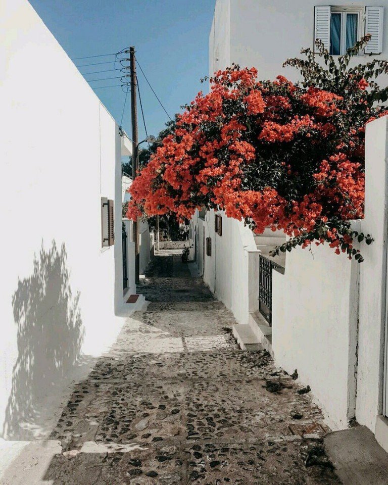 Ах, Греция, любовь моя!.. - 7