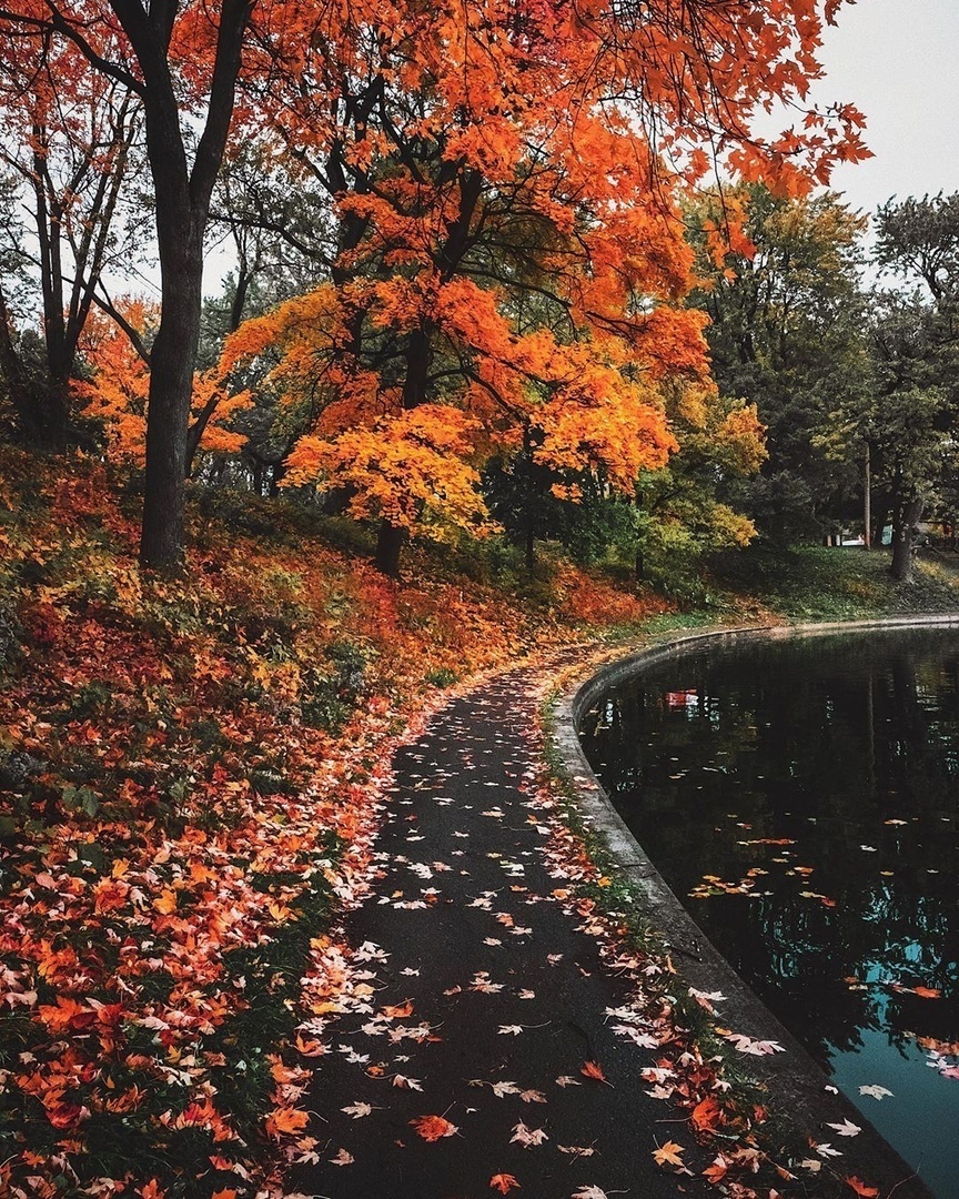 «Лучшие дни ещё впереди» - 8