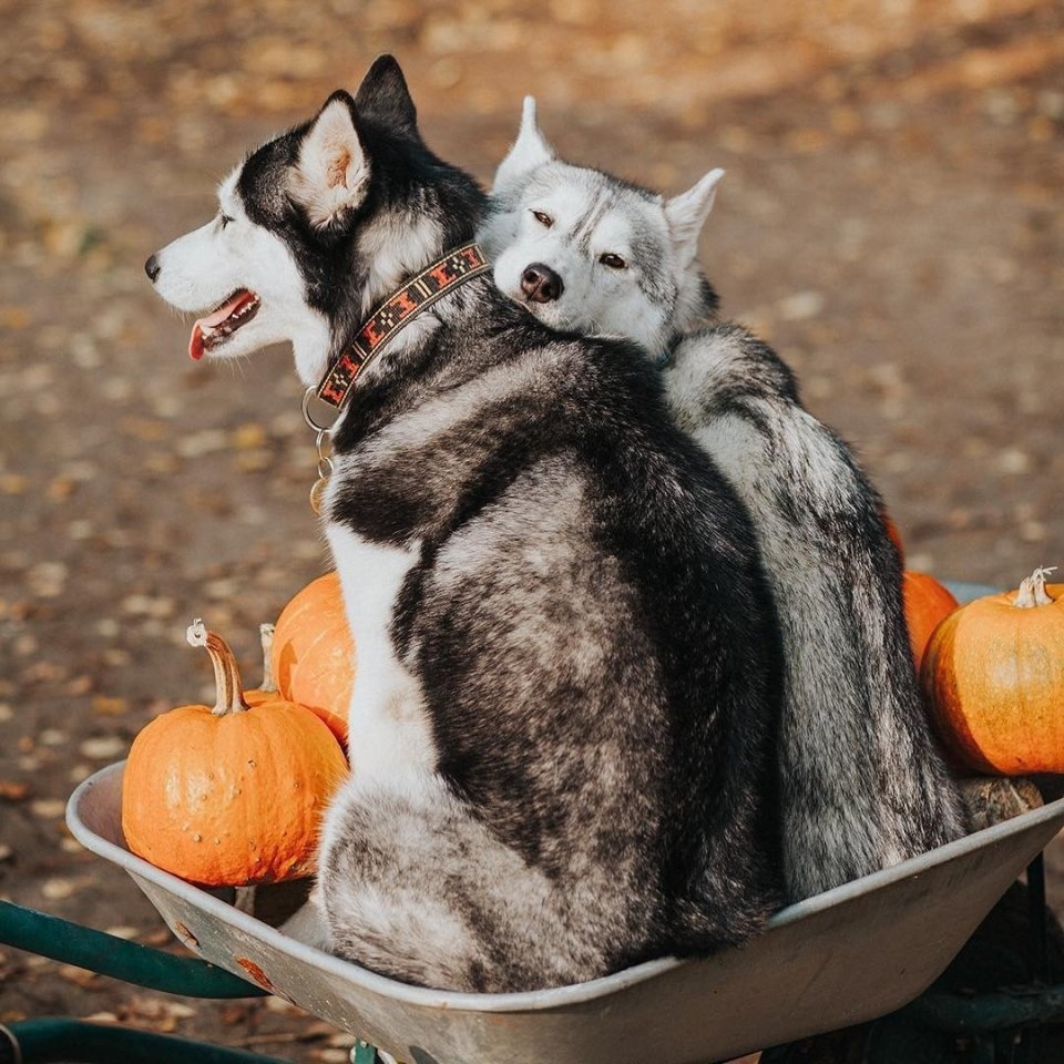 Всё самое лучшее случается неожиданно. - 5