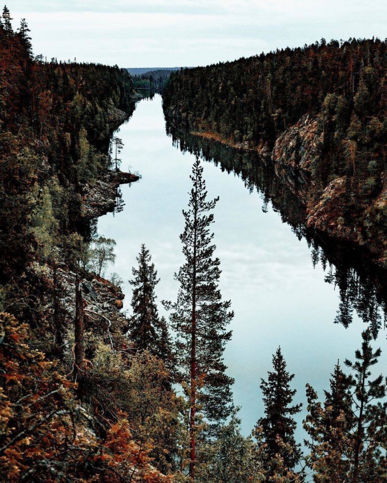 Краски осени в финских лесах - 6