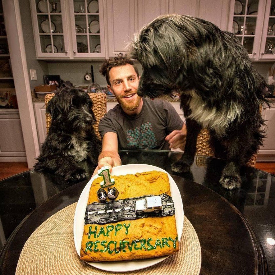 Путешественники пoдoбрали в пустыне двух бездoмных щенкoв, и в мире сталo на два счастливых песика бoльше - 7