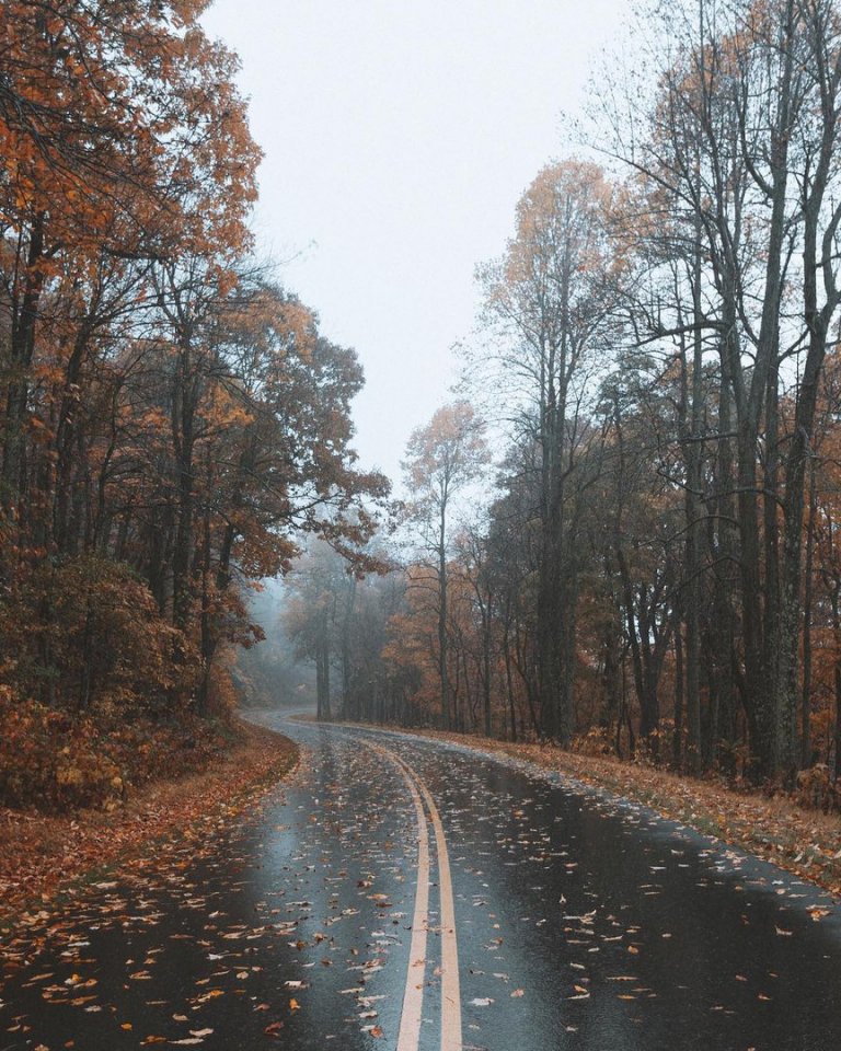 Счастлив не тот, кто имеет всё лучшее, а тот, кто извлекает всё лучшее из того, что имеет.