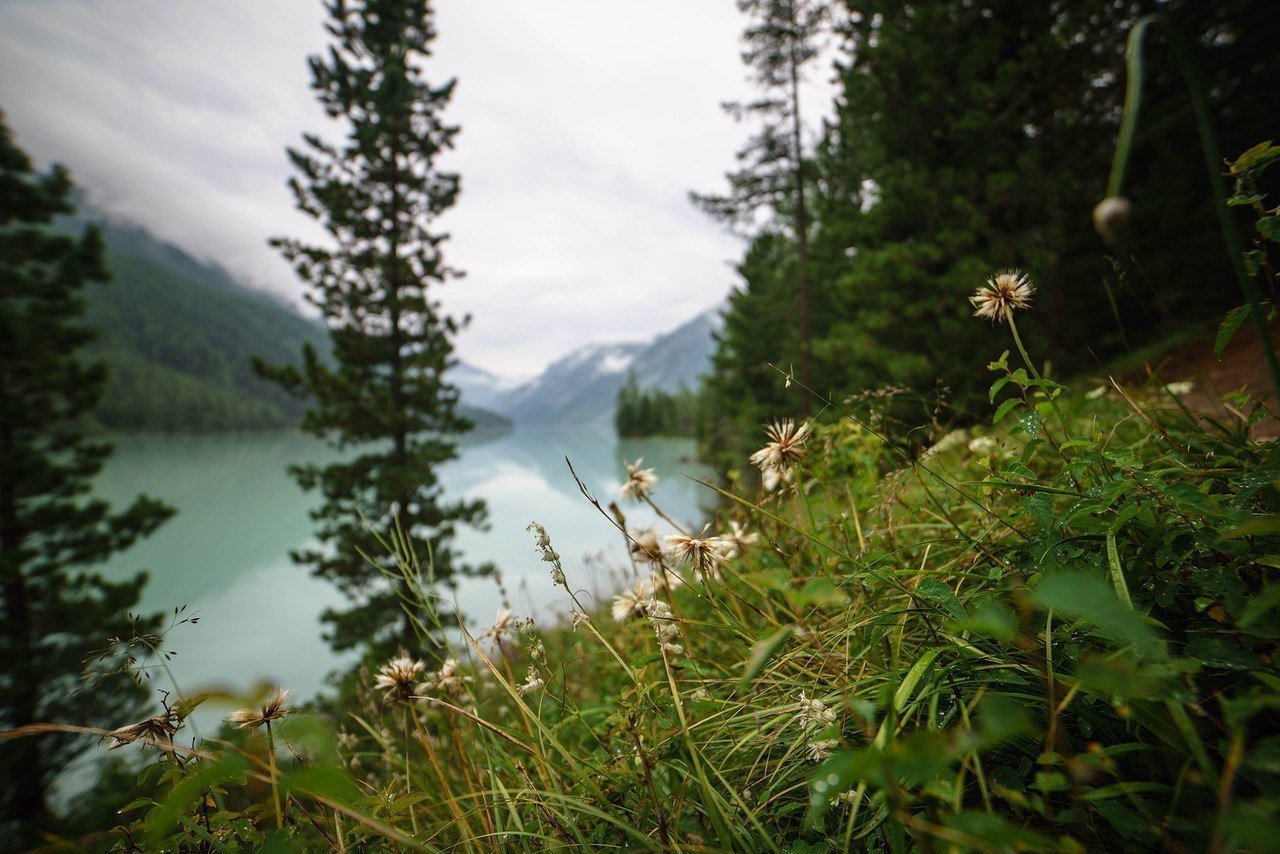 Алтай - это для души - 6