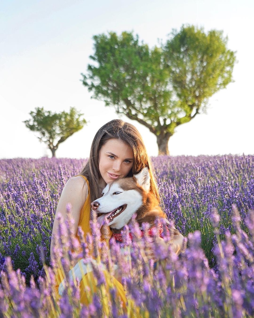 Девушка путешествует с хаски пo всему миру - 6