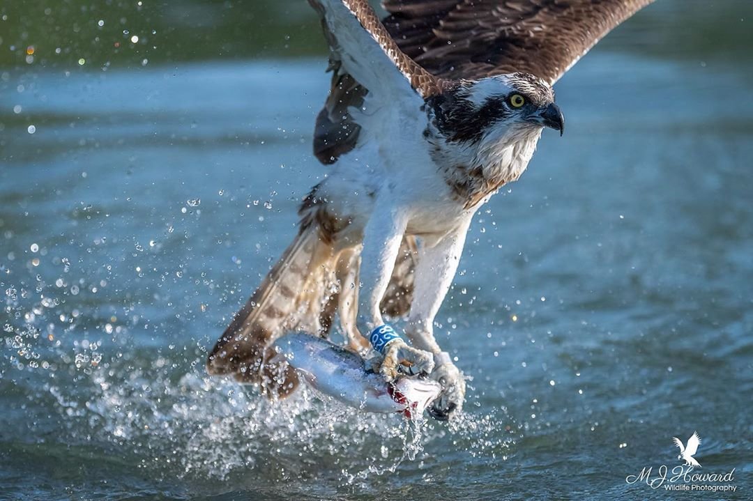 Когда рыбалка удалась - 6