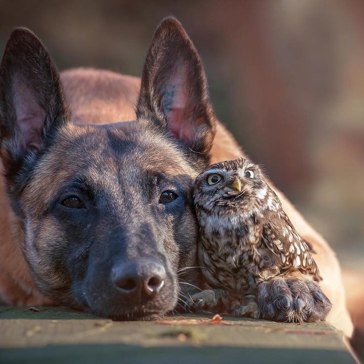 Очень душевная фотосессия лу��ших друзей