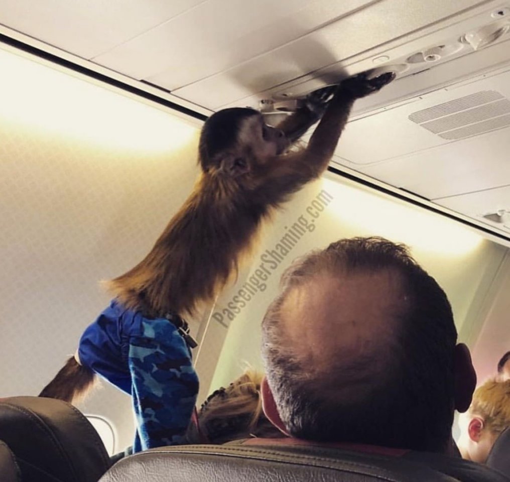 Тем временем в самолетах - 6