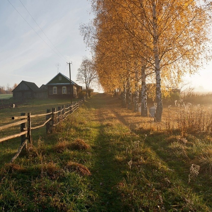 Настоящее счастье на этих фото... - 5