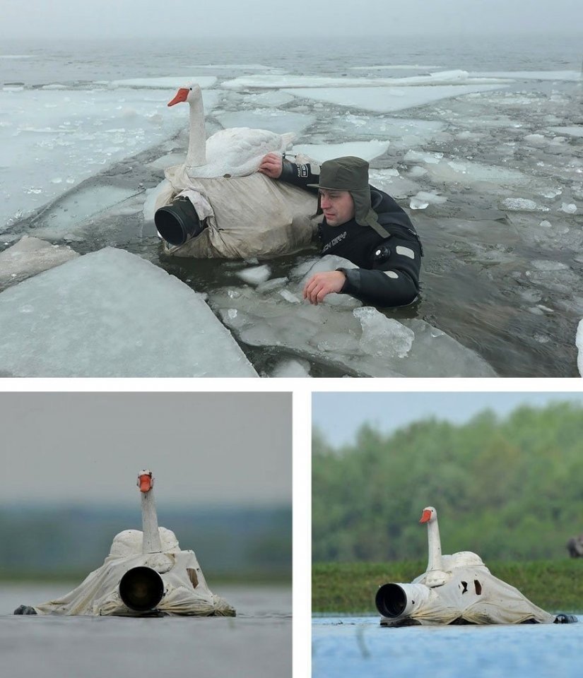 Быть фотографом дикой природы очень весело! - 9