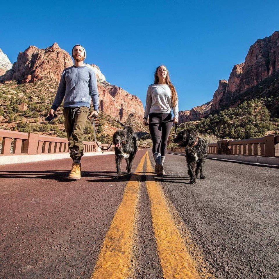 Путешественники подобрали в пустыне двух бездомных щенков, и в мире стало на два счастливых песика больше - 6