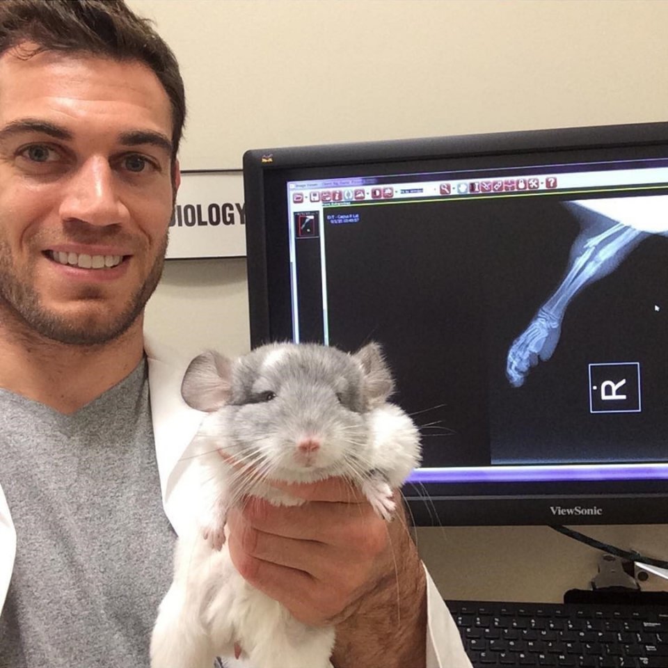 Когда работаешь ветеринаром - 5