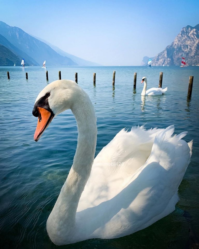 Рива-дель-Гарда - коммуна в Ита��ии. Остается только любоваться такой красотой на фото... - 6